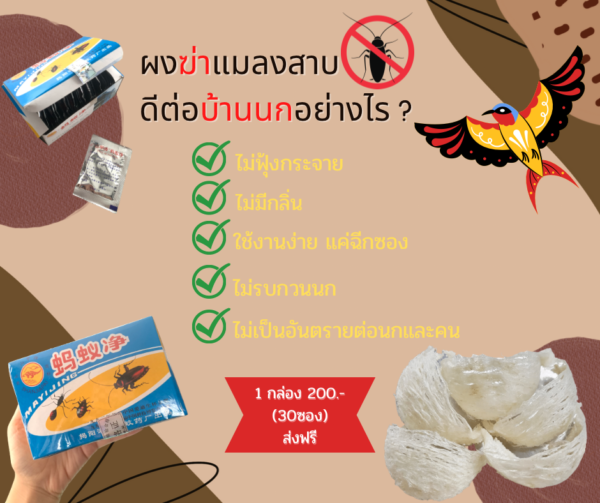 ผงกำจัดแมลงสาบถาวร - Image 3